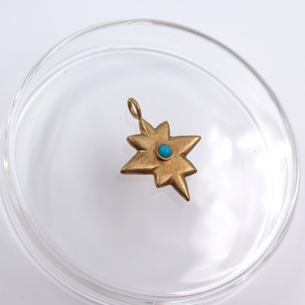 Asteroid 21 Lucky Charm Pendant in Bronze/Silver - Alkisti Jewelry