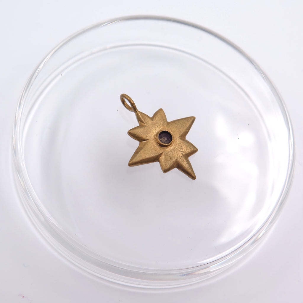 Asteroid 21 Lucky Charm Pendant in Bronze/Silver - Alkisti Jewelry