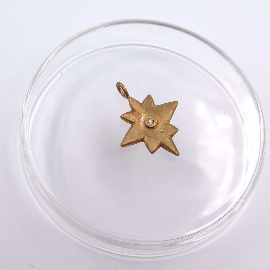 Asteroid 21 Lucky Charm Pendant in Bronze/Silver - Alkisti Jewelry