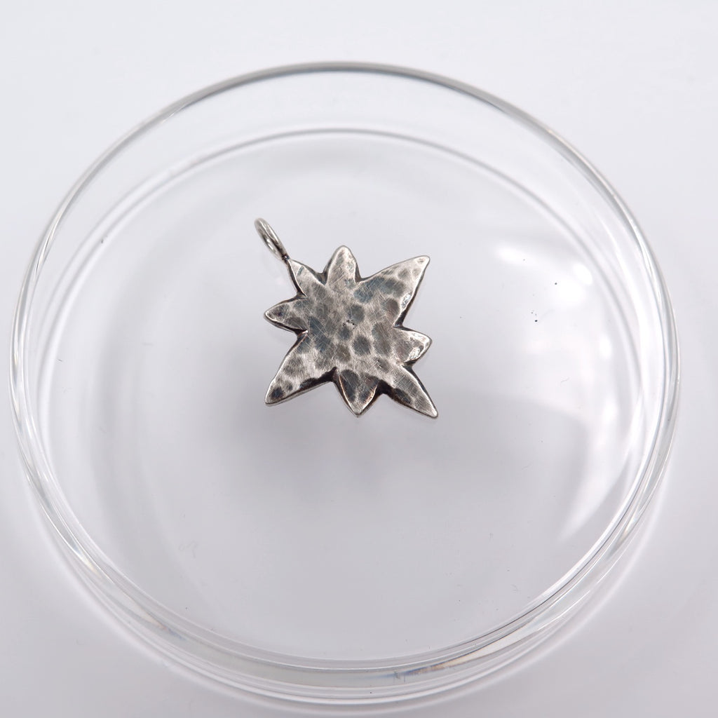 Asteroid 21 Lucky Charm Pendant in Bronze/Silver - Alkisti Jewelry