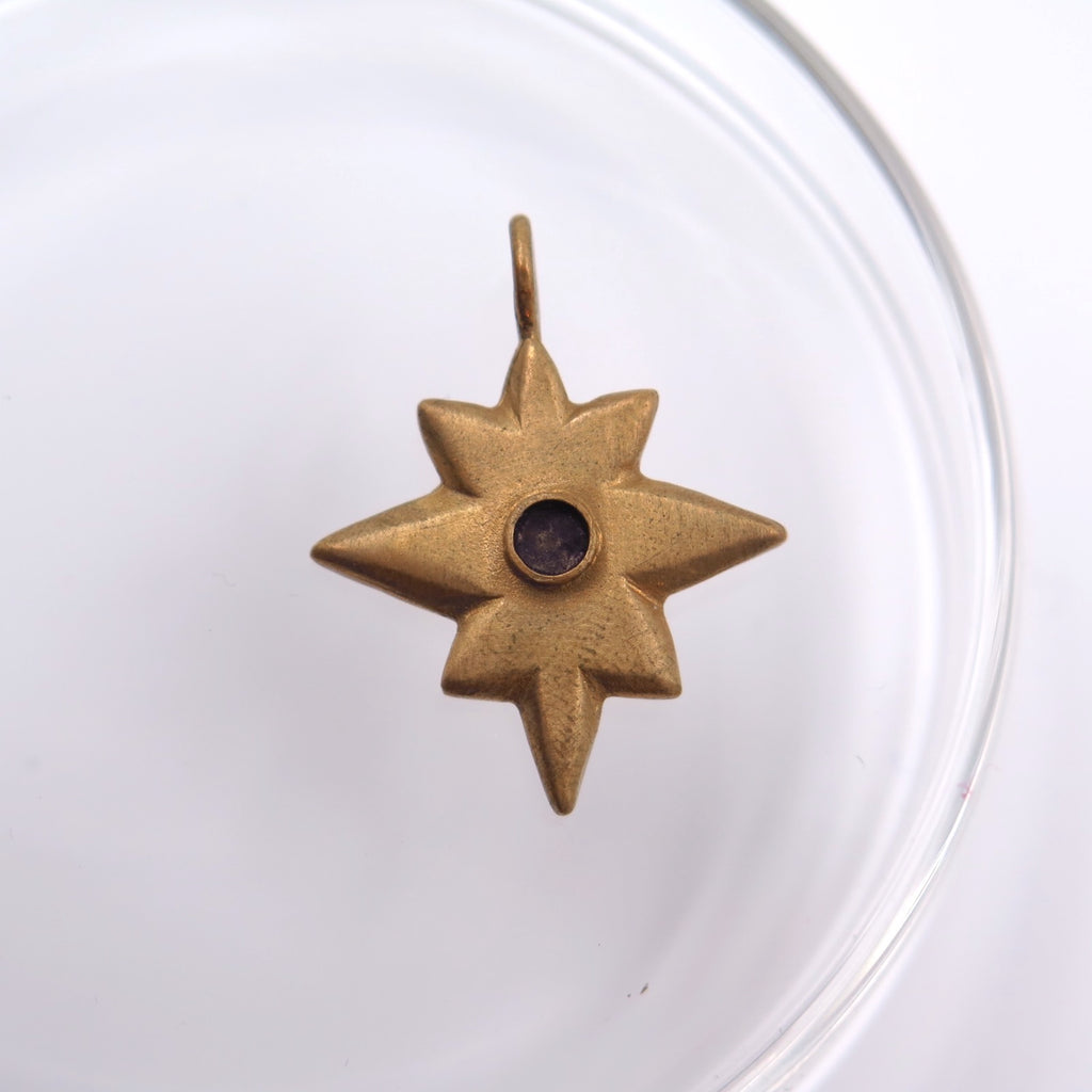 Asteroid 21 Lucky Charm Pendant in Bronze/Silver - Alkisti Jewelry