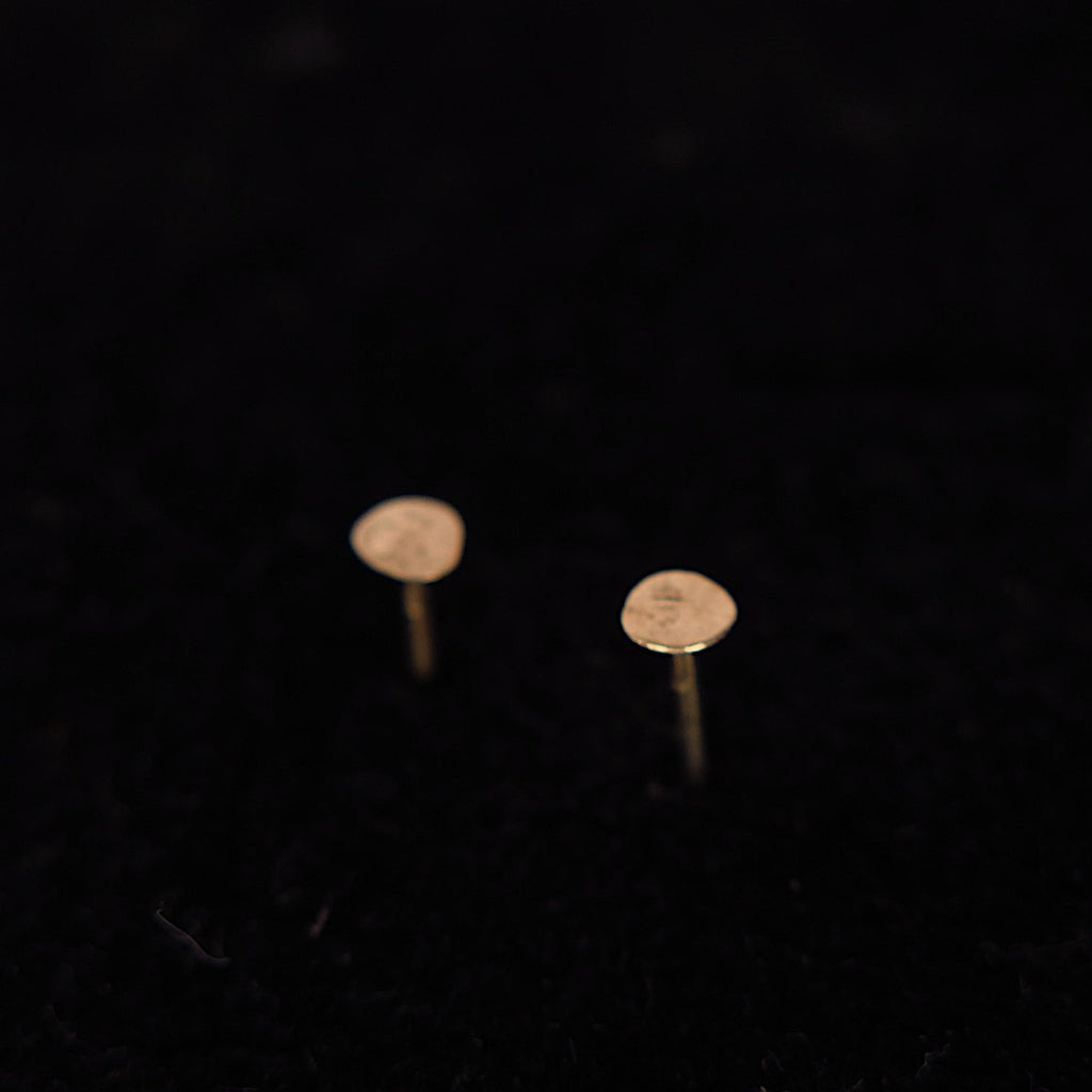 Disc Recycled 14K Gold Stud Earrings - Alkisti Jewelry