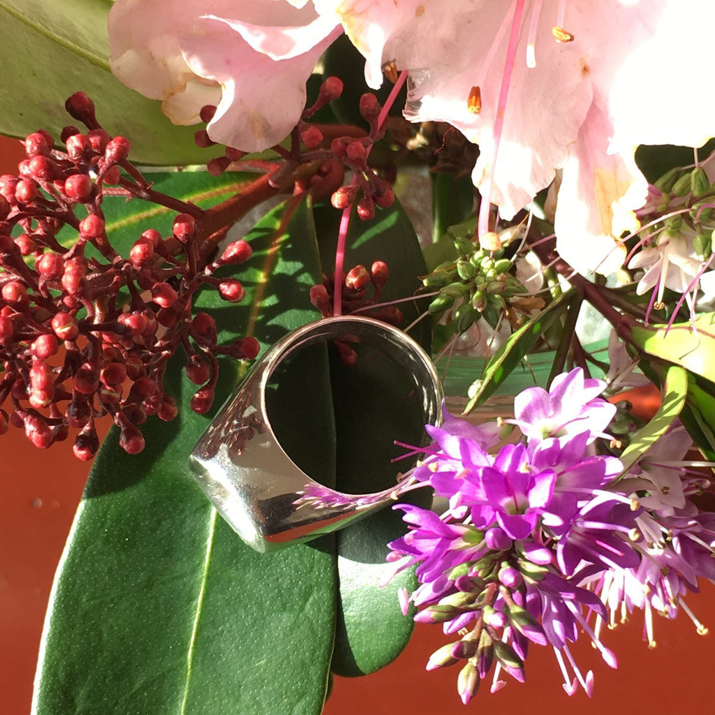 Volcano Ring in Bronze/Silver - Alkisti Jewelry