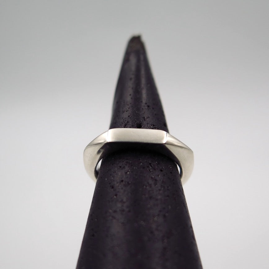Polyslim Signet Ring in Bronze/Silver - Alkisti Jewelry