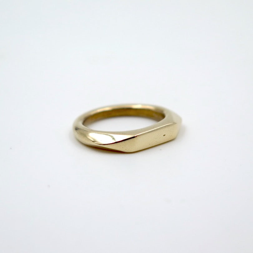 Polyslim Signet Ring in Bronze/Silver - Alkisti Jewelry