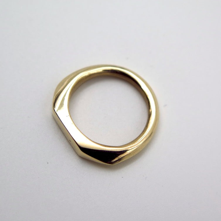 Polyslim Signet Ring in Bronze/Silver - Alkisti Jewelry