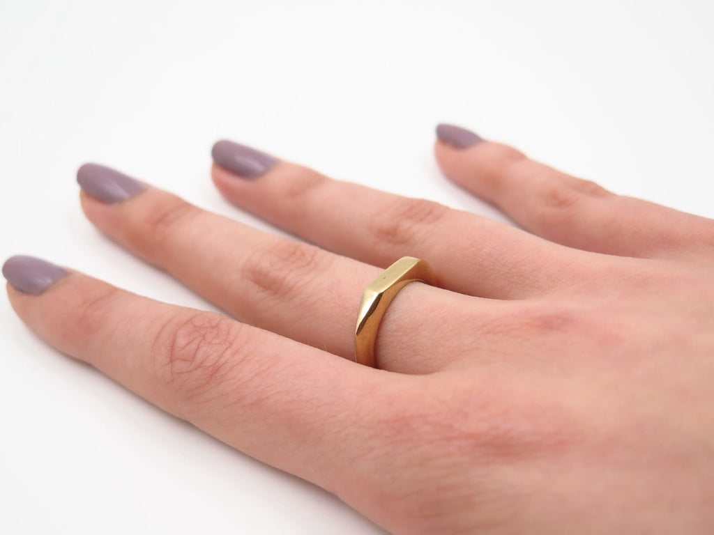 Polyslim Signet Ring in Bronze/Silver - Alkisti Jewelry